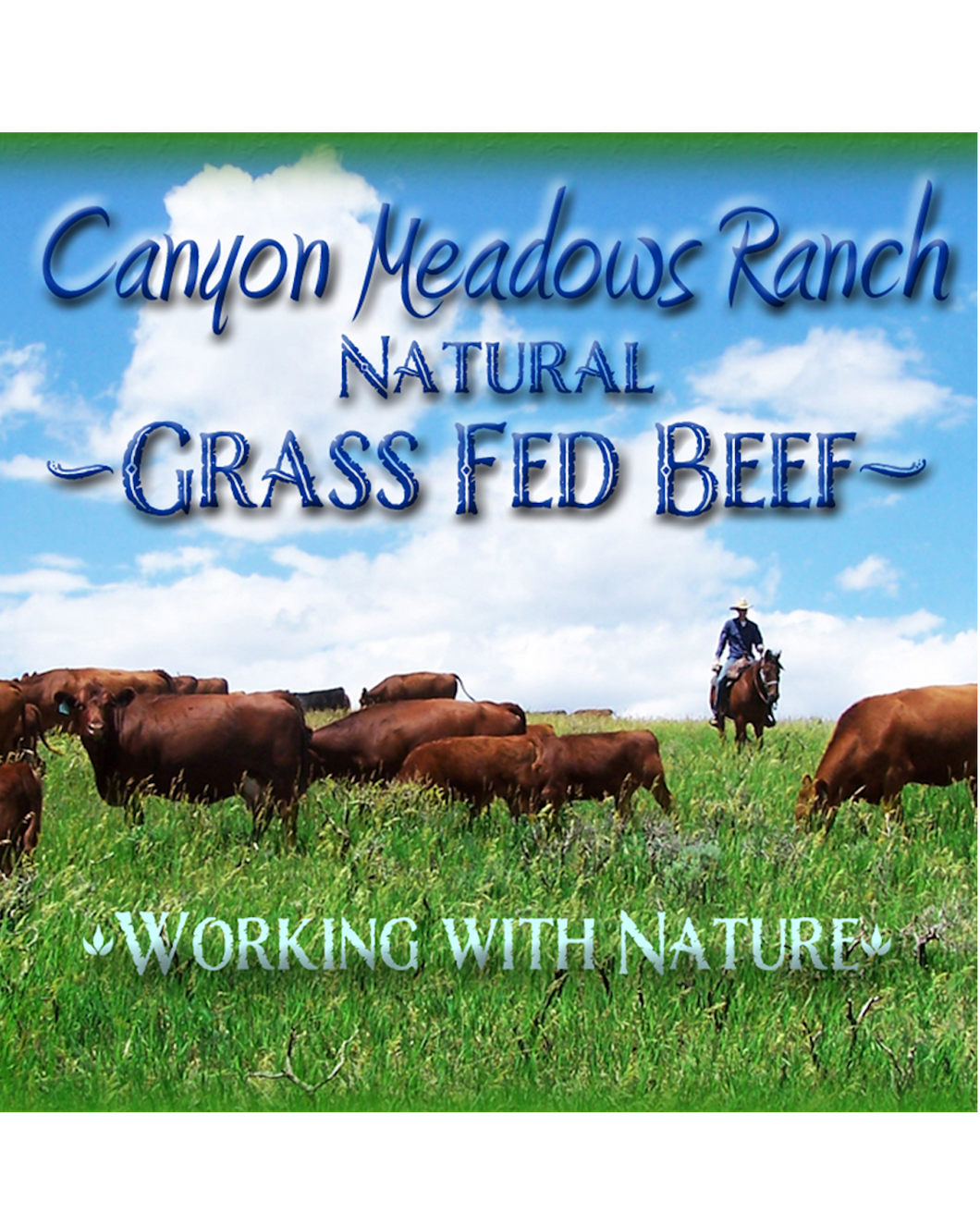 Grass Fed Beef CSA